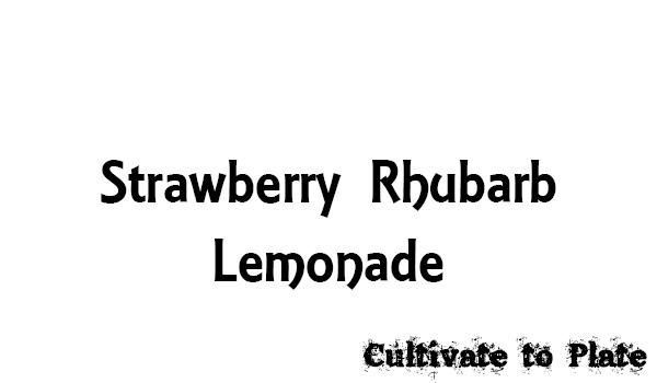 Strawberry Rhubarb Lemonade