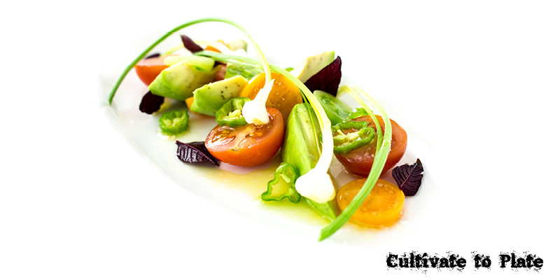 Avocado and Shishito Pepper Salad with Opal Basil and Lemon Vinaigrette