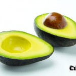 Avocado | Cultivate to Plate