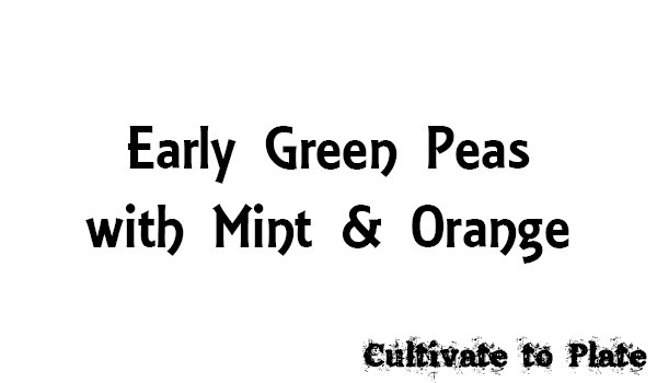 Early Green Peas with Mint and Orange