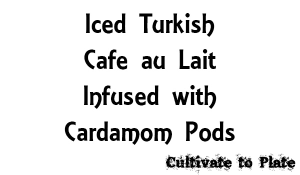 Iced Turkish Cafe au Lait Infused with Cardamom Pods
