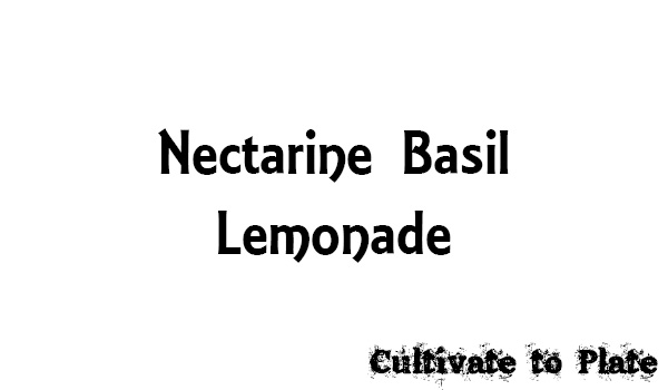 Nectarine Basil Lemonade