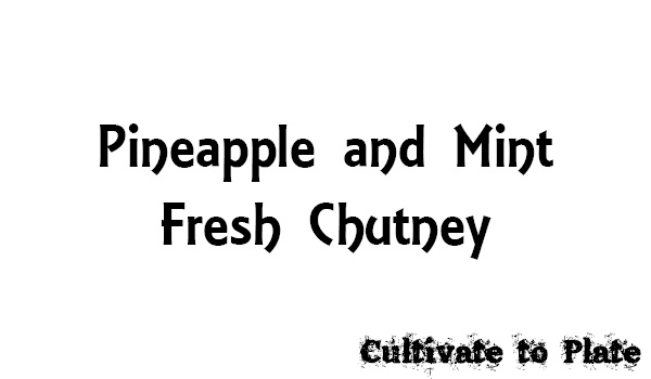 Pineapple and Mint Fresh Chutney