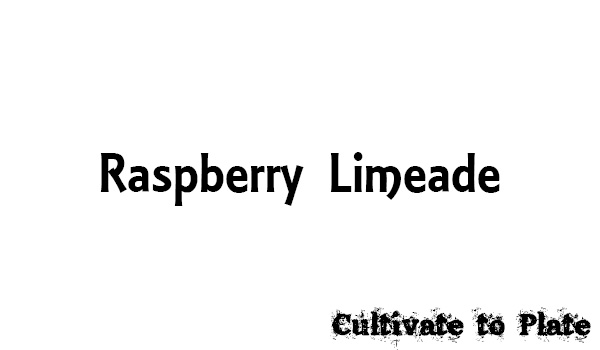 Raspberry Limeade