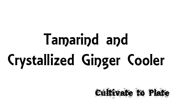 Tamarind and Crystallized Ginger Cooler