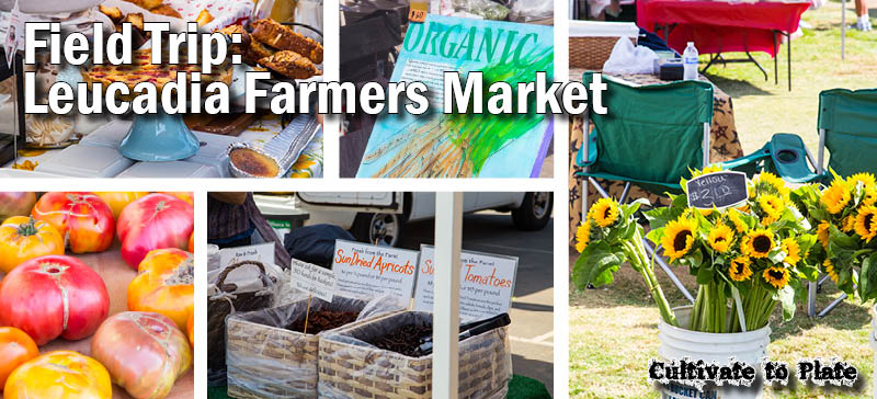 Field Trips: Leucadia Encinitas Farmers’ Market